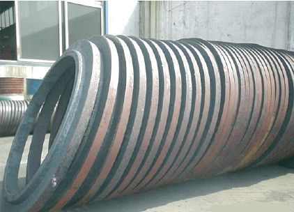 Vertical Ring Rolling Machine